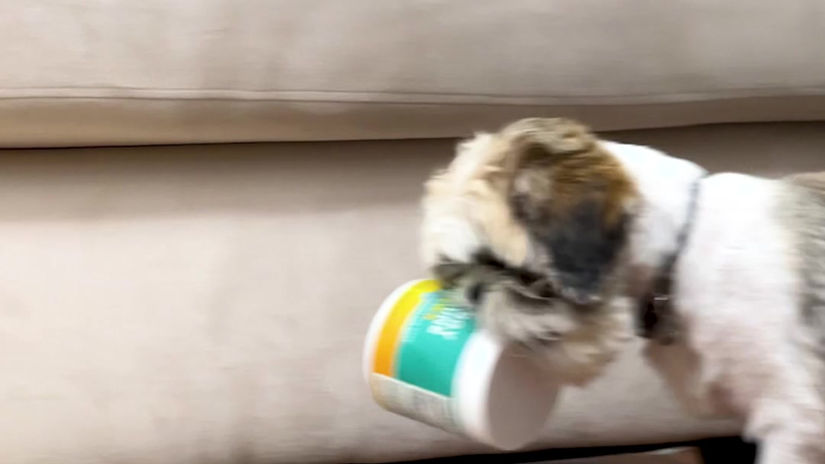 Pet Vitamins